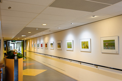expositie verpleeghuis meerstate in heemskerk.