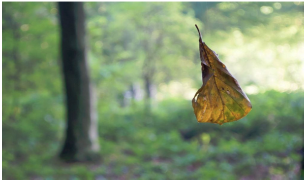 herfst