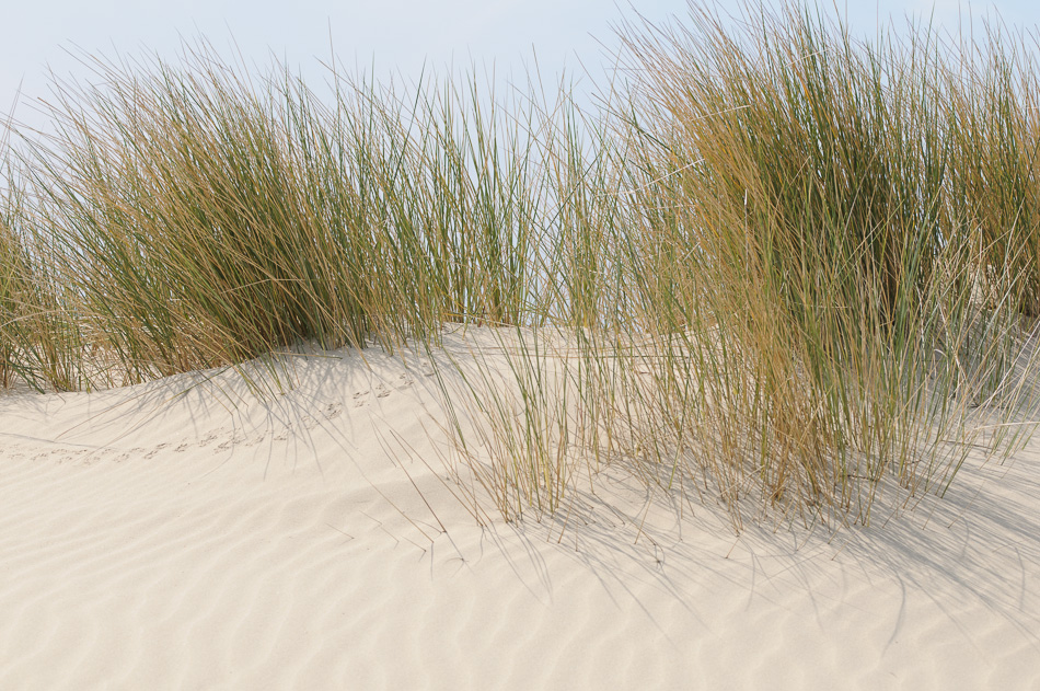 duinen