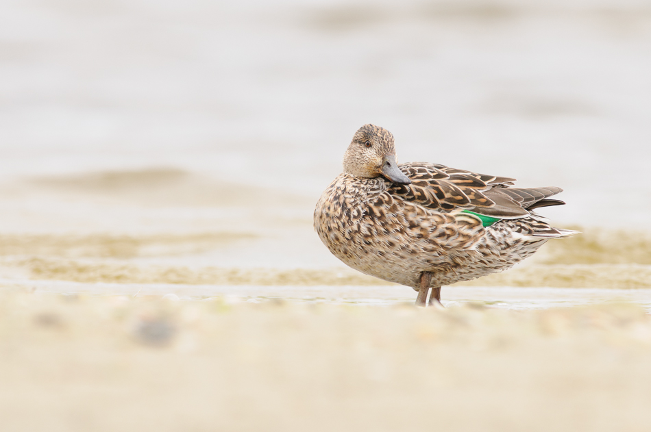 wintertaling vrouw