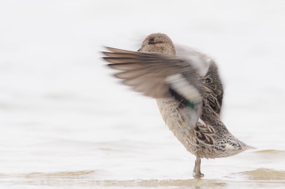 wintertaling vrouw