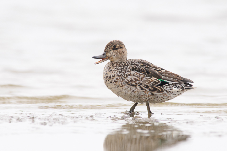 wintertaling vrouw