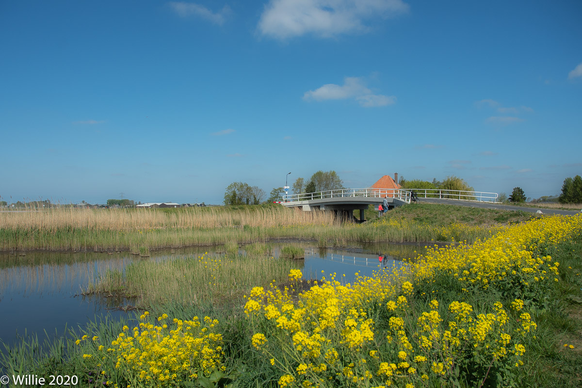 Obdammerdijk