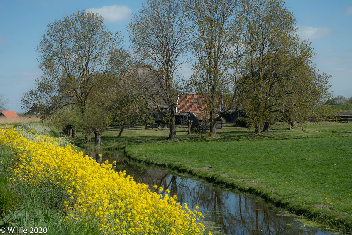 Obdammerdijk