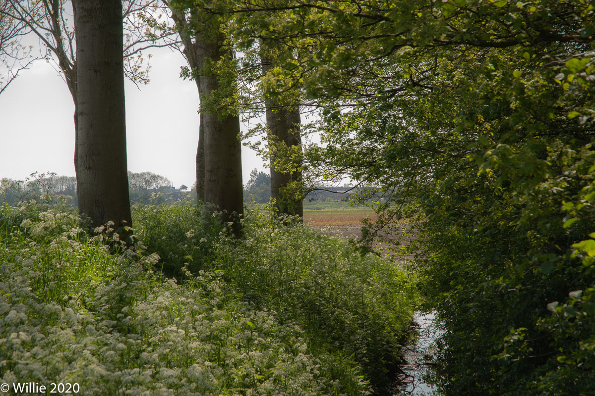 Obdammerdijk