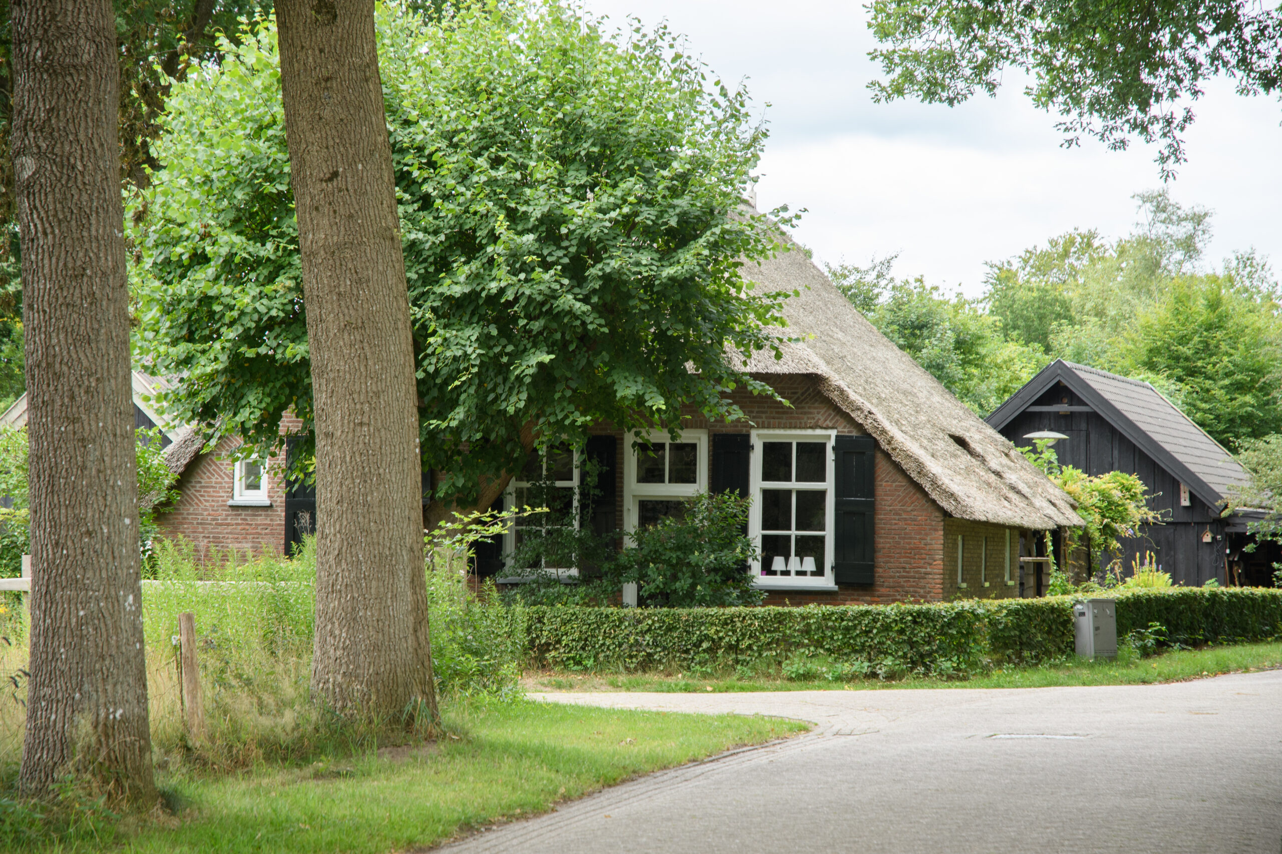 boerderij